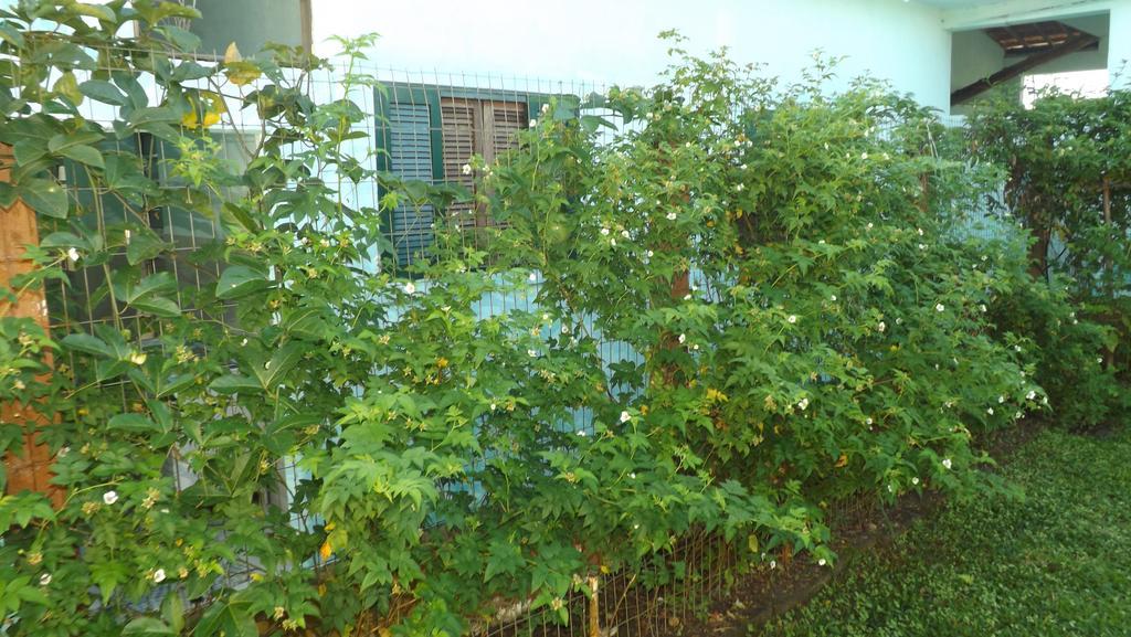 Pousada Rural Ouro Verde Eldorado Luaran gambar
